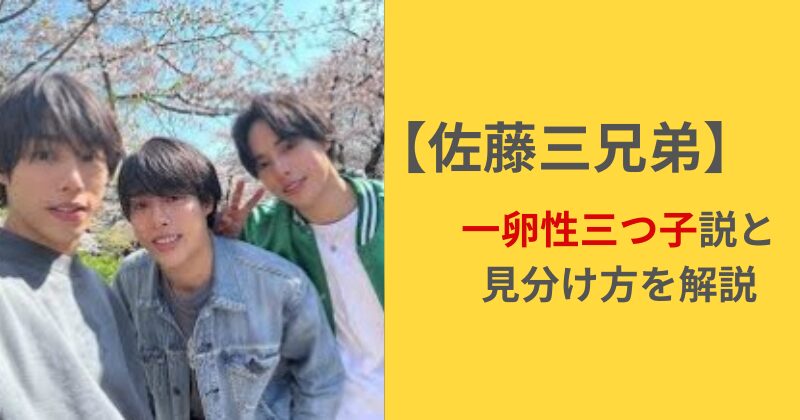 佐藤三兄弟とは何者?